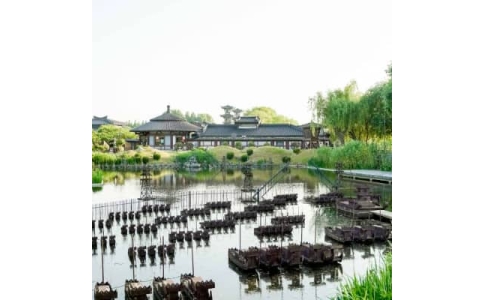 益阳拓展基地-益阳白马公园拓展训练基地